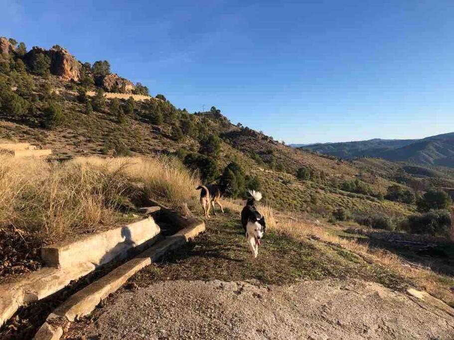 Casa Rural Con Encanto Senorio Manchego Albacete Yeste Dış mekan fotoğraf